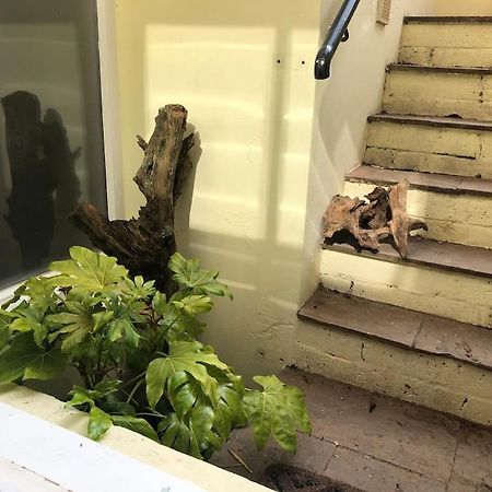 Beautiful, Well Positioned Flat In Clifton Wood Apartment Bristol Exterior photo